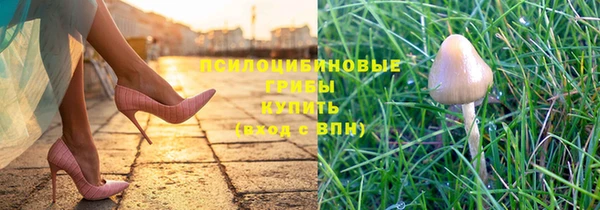 дживик Тайга