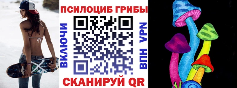 где купить наркоту  Мезень  Галлюциногенные грибы Psilocybine cubensis 